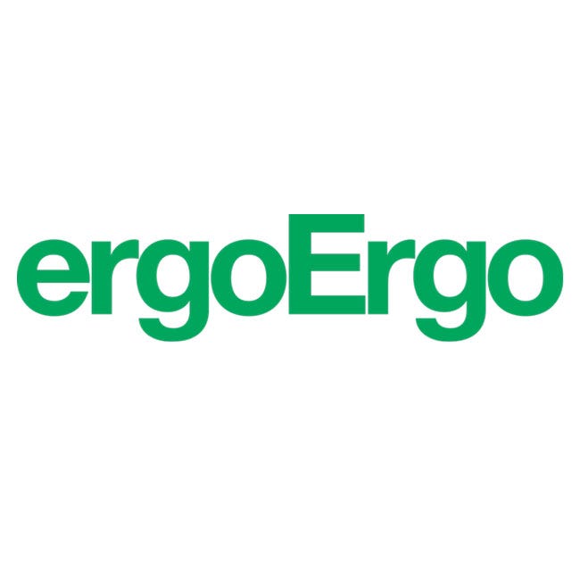 ErgoErgo logo image