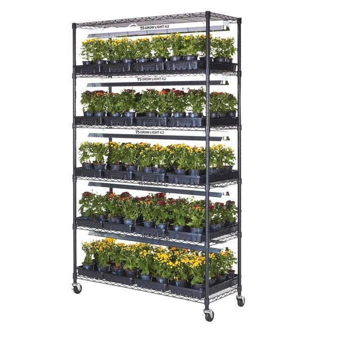 Click here for more Sprout by Worthington