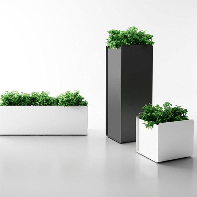Click here for more Magnuson Group Outdoor and Indoor Planters by Worthington