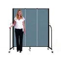 Click here for more Partitions and Room Dividers by Worthington