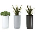 Click here for more Outdoor & Indoor Planter Boxes by Worthington