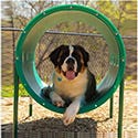 Dog Park Equipment