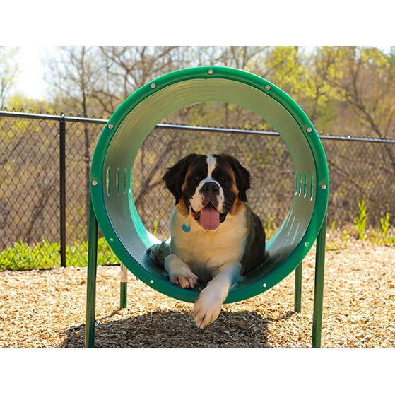 Click here for more UltraPlay Dog Park Equipment by Worthington