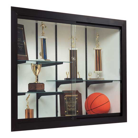 Click here for more Waddell Wall-Mount Display Cases by Worthington